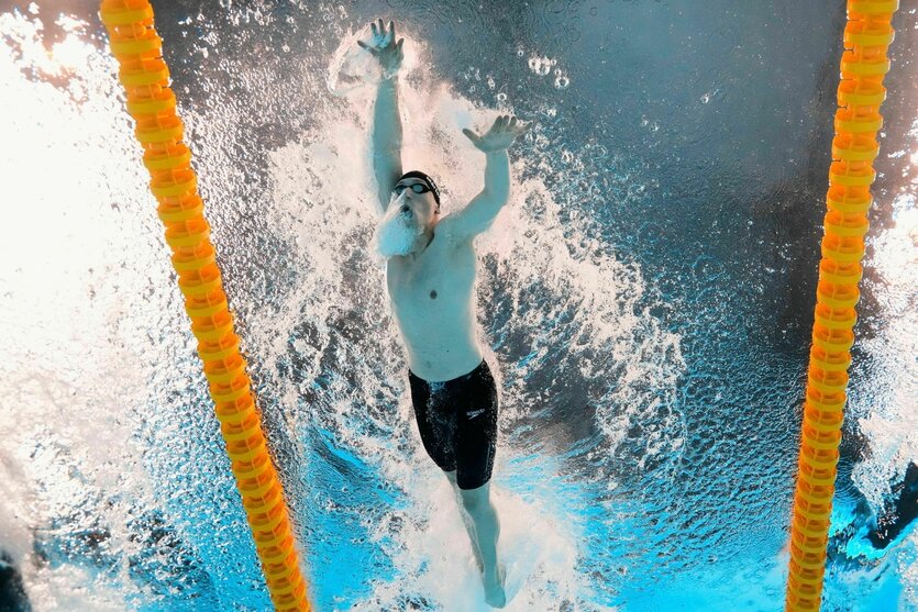 Märtens von unten beim Schwimmen von der Unterwasserkamera aufgenommen