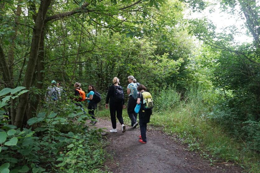 Eine Gruppe wandernder Frauen im Grünen