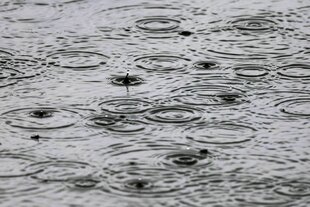 Regentropfen fallen auf eine Wasserfläche