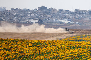 Sonnenblumen im Vordergrund, im Hintergrund ein Panzer und zerstörte Häuser