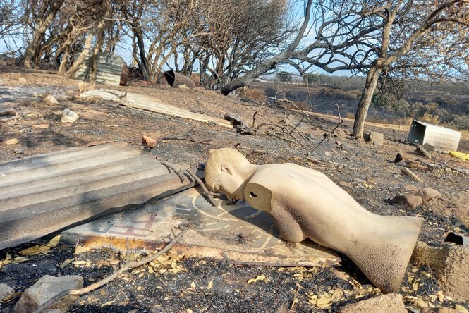 Verbrannte Überreste nach einem Waldbrand