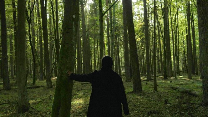 Eine junge Frau, Rückenansicht, die in einem Wald steht - es ist Sommer und der Wald sieht freundlich aus