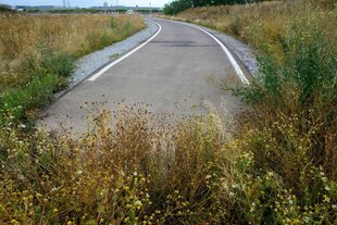 Eine Straße endet abrupt im Nirgendwo