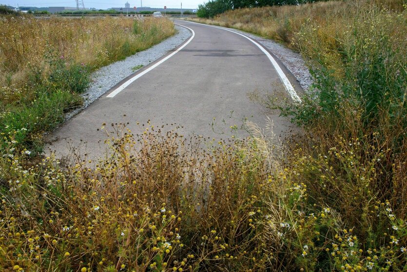 Eine Straße endet abrupt im Nirgendwo