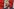 Karol Nawrocki spricht in ein Mikrofon