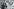 Historisches Gruppenfoto Historisches Gruppenfoto