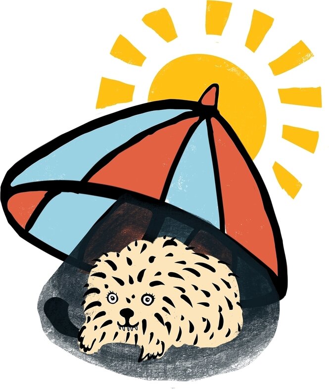 Illustration eines Hündchens, das unter einem Sonnenschirm liegt