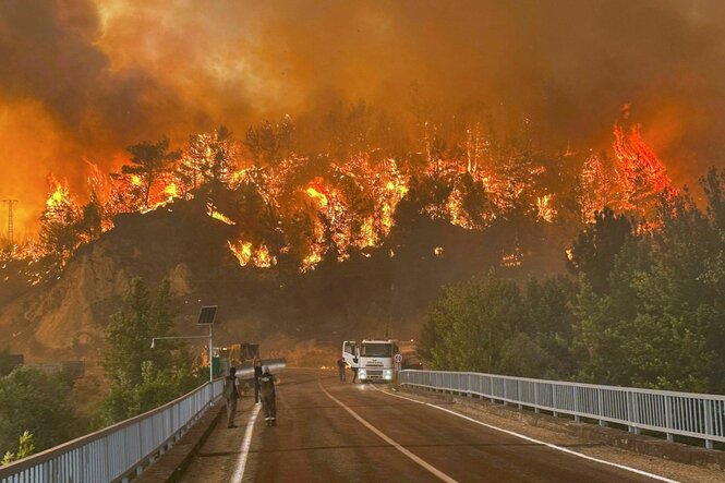 Eine Straße, auf ihr fahren Autos vor einem großen Brand weg, der im Hintergrund wütet
