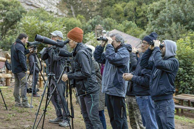 Eine Gruppe von Menschen steht im Wald und hält mit Kameras und Ferngläsern Aussschau nach Bären