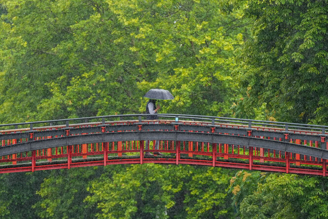 Eine Person mit Regenschirm auf einer Brücke. Hinter ihr sind Bäume zu sehen.