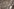 Müll und Absperrgitter von oben fotografiert.