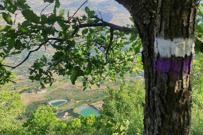 Blick in ein Tal. Im Vordergrund ist die lila weiße Markierung des Wanderwegs zu erkennen