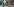 Ein Baum wird abgesägt