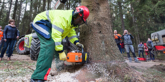 Ein Baum wird abgesägt