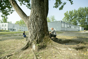 ein großer Baum, links davon sitzt ein kleiner Junge, rechts davon ein älterer Mann