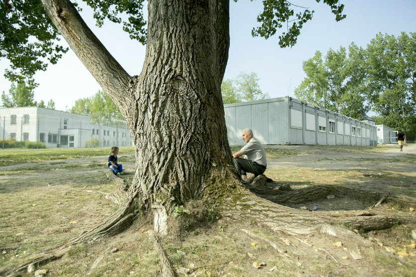 ein großer Baum, links davon sitzt ein kleiner Junge, rechts davon ein älterer Mann