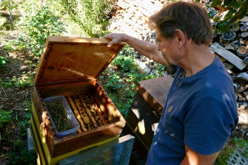 Mann öffnet hölzerne Kiste mit Bienen