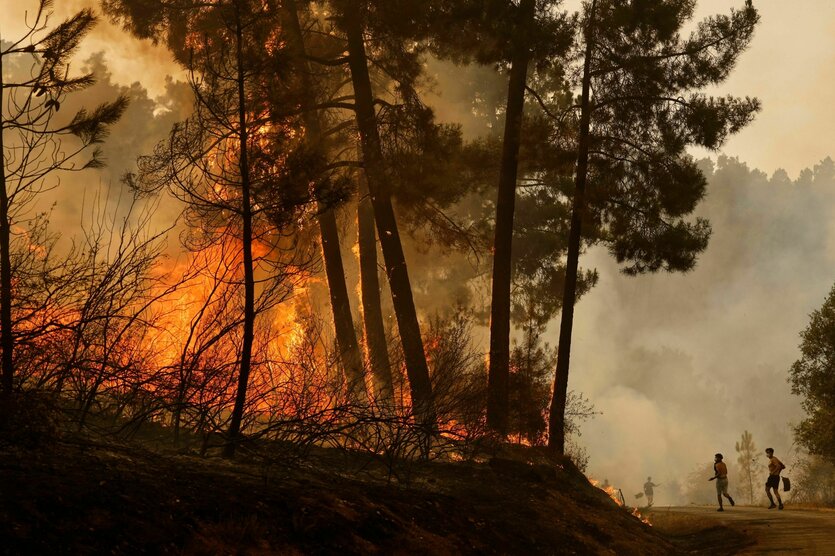 Anwohner und freiwillige Helfer versuchen einen Waldbrand zu löschen.