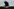 Silhouette eines Vogels vor der Skyline von Washington