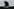 Silhouette eines Vogels vor der Skyline von Washington
