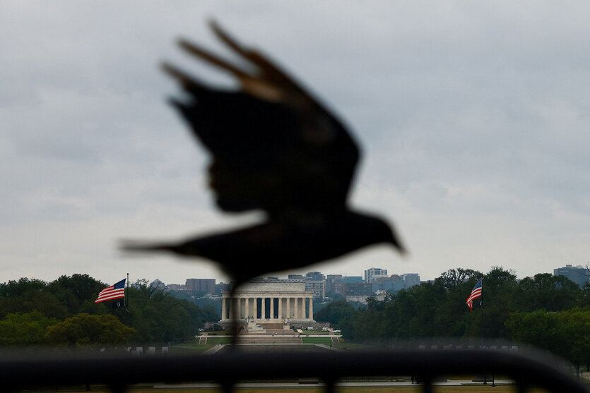 Silhouette eines Vogels vor der Skyline von Washington