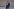 Philipp Amthor steht in einem Flur im Deutschen Bundestag und blickt auf sein Handy