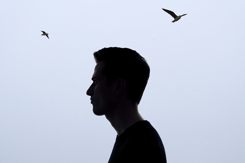 Silhouette eines Mannes in einer Nebellandschaft, über seinem Kopf kreisen Möwen