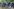 Junge Menschen tanzen auf einem Festival, Bäume im Hintergrund