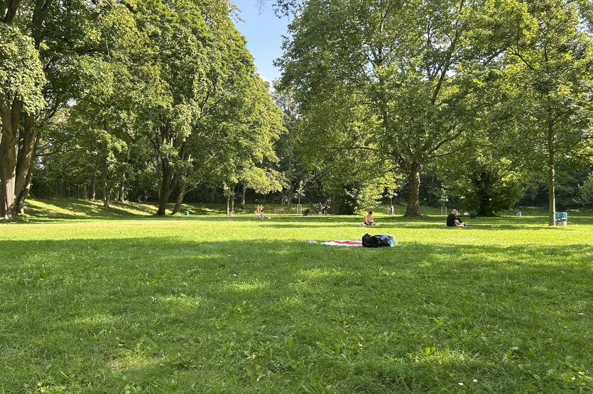 Die Wiese im Sommerbad Humboldthain ist größtenteils schattig