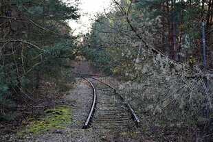 Eine stillgelegte Bahnlinie