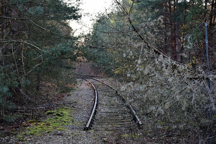 Eine stillgelegte Bahnlinie