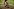 Close-up-Aufnahme eines Mountainbilefahrers