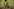 Close-up-Aufnahme eines Mountainbilefahrers