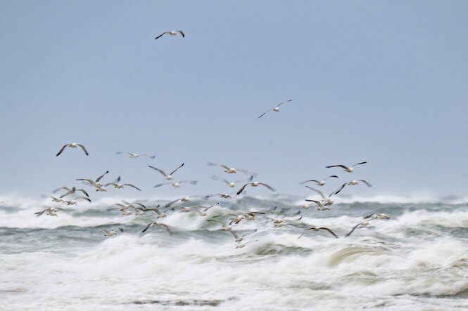 Wellen, meer Möwen und ein weiter Himmel