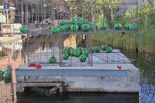 Wassermelonen in einem Käfig, Kunstaktion am Potsdamer Platz in Berlin