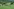 Menschen laufen durch eine Landschaft