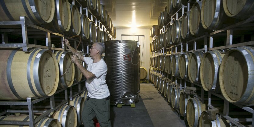 in einem Weinlager mit zwei dreistöckigen Reihen von Weinfässern. Ein Mann hantiert an einem Fass.