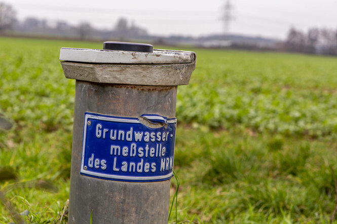 An einem Feldrand steht ein Poller auf dem ein Schild angebracht ist: Grundwassermeßstelle