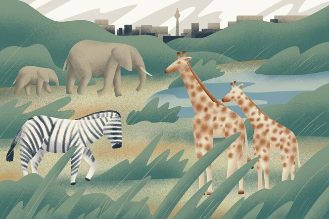 Illustration mit Giraffen, Elefanten und einem Zebra im Grünen vor Stadt im Hintergrund mit Fernsehturm