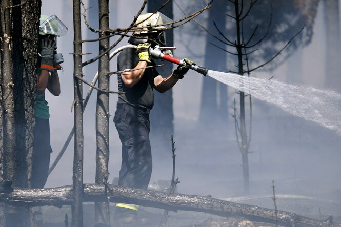 Feuerwehrleute bekaempfen einen Waldbrand mit Atemschutz