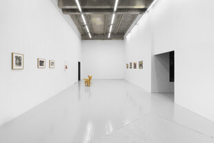 Ausstellungsansicht "Vulture"