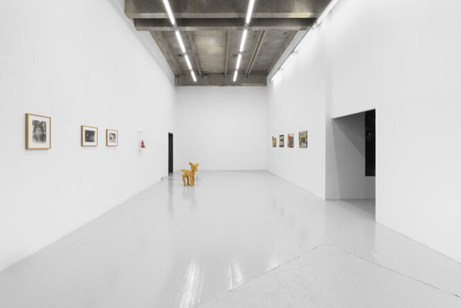 Ausstellungsansicht "Vulture"