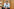 Portrait von Robert Habeck in den Raeumen der Partei Buendnis 90 Die Gruenen im Jakob-Kaiser-Haus