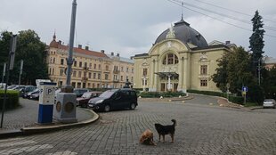 Das Theater in Tscherniwzi