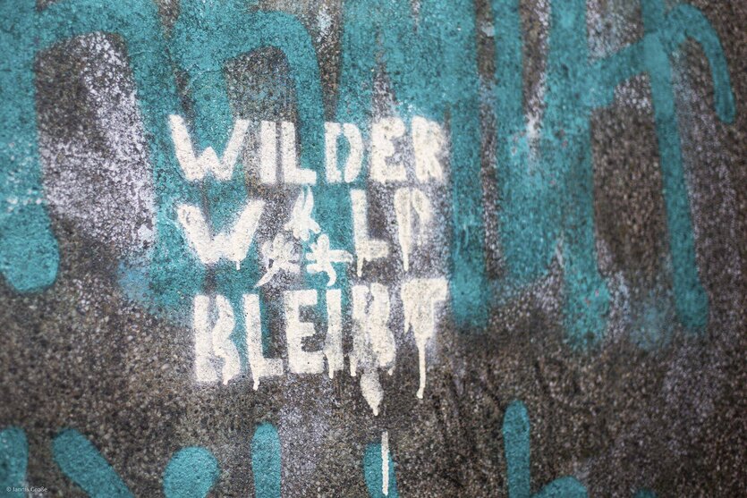 "Wilder Wald bleibt" ist auf eine Mauer gesprüht
