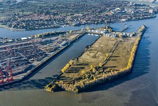 Der Elbwald von oben