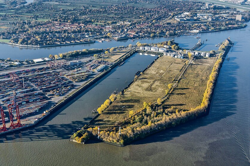 Der Elbwald von oben