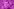 Porträt von Matthias Schmelzer vor einer blattverkleideten Mauer. Er schaut frontal in die Kamera, trägt einen kurzen Haarschnitt und ein Hemd. Das Foto ist eingefärbt in dem für den Dissens-Podcast typischen Magenta-Farbton.