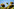 Vertrocknete Sonnenblume vor blauem Himmel