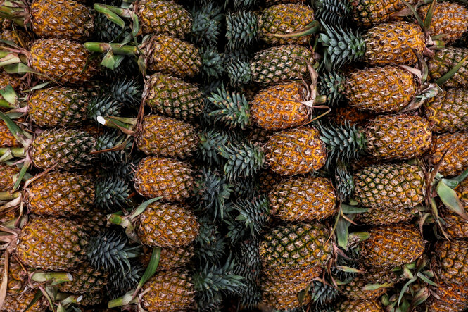 Viele Ananas mit Kronen liegen nebeneinander in einem Großmarkt.